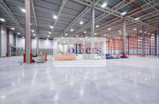 Gewerbeimmobilie mieten in 64521 Groß-Gerau, Logistikhalle in Groß-Gerau - ca. 20.000 m² - PROVISIONSFREI