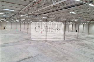 Gewerbeimmobilie mieten in 67550 Rheindürkheim, Logistikhalle in Worms - PROVISIONSFREI - ab Q1 2027