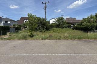 Grundstück zu kaufen in Wulfericherichstraße 29, 86316 Friedberg, Sonniges Grundstück für EFH provisionsfrei in Friedberg (Kreis Aichach-Friedberg)