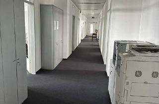 Büro zu mieten in 13403 Reinickendorf, Einzelbüros in Bürogemeinschaft in verschiedenen Größen zu vermieten, ab 7 Euro (netto, kalt)