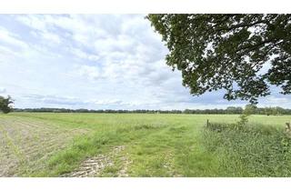 Gewerbeimmobilie kaufen in 26655 Westerstede, Grünland (ca. 2,46 Hektar) mit Überwegungsrecht in Westerstede-Hollwege / ländliche Lage