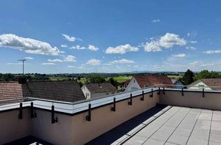Penthouse mieten in 63543 Neuberg, Erstbezug - Großzügiges Penthouse der Extraklasse mit Klimaanlage und einem besonderen Weitblick
