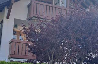 Wohnung mieten in St. Niklaas Str. 18, 86956 Schongau, Alltagstaugliche 2-Zimmer-Wohnung in Schongau