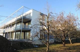 Wohnung mieten in Hülenweg 6/2, 89081 Jungingen, Exclusive helle 3,5-Zimmer-Wohnung, gehobene Innenausstattung mit Balkon und Einbauküche