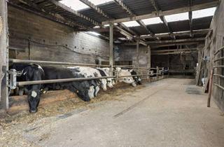 Bauernhaus kaufen in 52525 Heinsberg, Bauernhof mit Stallungen, Scheunen und über 9.000 m² Grundstück in Heinsberg-Hülhoven