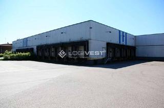 Gewerbeimmobilie mieten in 95615 Marktredwitz, Kühllagerhalle mit TK-Bereich & Kontraktlogistikoption nahe der A93!