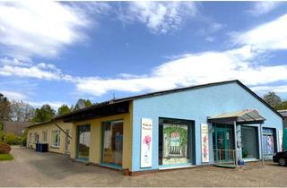 Gewerbeimmobilie kaufen in 26655 Westerstede, Attraktives Gewerbeensemble in Westerstede – Lagerhalle, zwei Wohneinheiten und Betriebsleiterhaus