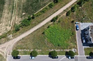 Grundstück zu kaufen in 79379 Müllheim, Tolles Baugrundstück mit sonniger Randlage im modernen Neubaugebiet