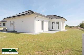 Haus kaufen in 29582 Hanstedt, PROV.FREI F. KÄUFER: BUNGALOW BJ 2023 IM ERSTBEZUG - A+ EFFIZIENZHAUS, SMARTHOME & TOP-TECHNIKPAKET