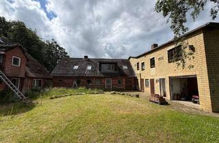 Gewerbeimmobilie kaufen in 24977 Westerholz, Landwirtschaftlicher Hof mit Entwicklungspotenzial