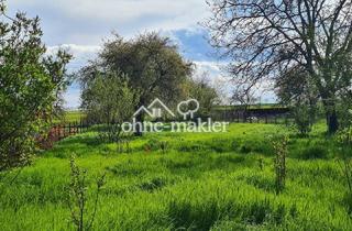Immobilie kaufen in Pobziger Hauptstraße 25, 06429 Nienburg, Baugrundstück(e) Naturidylle EFH DHH Tiny House Bauturbo
