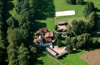Garagen kaufen in 36280 Oberaula, Historisches ehem. Mühlenanwesen im Schwalm-Eder-Kreis mit 8 Wohneinheiten - Pferdehaltung möglich -