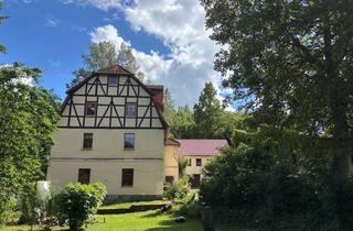 Garagen kaufen in 36280 Oberaula, Historisches ehem. Mühlenanwesen im Schwalm-Eder-Kreis mit 8 Wohneinheiten - Pferdehaltung möglich -