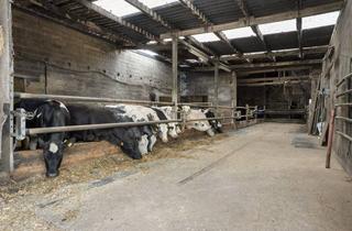 Bauernhaus kaufen in 52525 Heinsberg, Bauernhof mit Stallungen, Scheunen und über 9.000 m² Grundstück in Heinsberg-Hülhoven