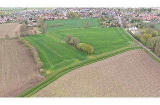 Immobilie kaufen in 48465 Schüttorf, Gebotsverfahren: Landwirtschaftliche Flächen in Schüttorf und Quendorf