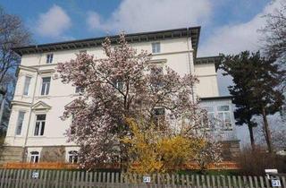 Wohnung mieten in Crimmitschauer Straße 34 c, 08412 Werdau, Gemütliche DG 2-Zimmer mit Aufzug und Stellplatz in Villa am Park!