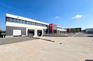 Geschäftslokal mieten in 63110 Rodgau, 1.990 m² Logistikhalle + 300 m² Büro-/Sozialfläche in Rodgau-Weiskirchen zu vermieten