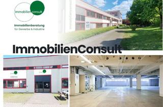 Geschäftslokal mieten in 63073 Offenbach, *** 2.206 m² Lagerhalle Provisionsfrei zu vermieten ***