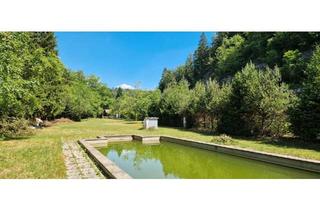 Haus kaufen in 78234 Engen, Engen - Raum- und Platzwunder in uneinsehbarer Alleinlage! 16.000 qm.