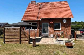 Einfamilienhaus kaufen in 31595 Steyerberg, Steyerberg - Einfamilienhaus