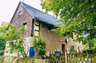 Einfamilienhaus kaufen in 04680 Colditz, Colditz - Einfamilienhaus provisionsfrei