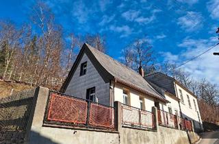 Haus kaufen in 08209 Auerbach, Auerbach/Vogtland - Bezahlbares Sanierungsobjekt in Brunn bei Auerbach