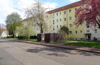 Wohnung mieten in Goethestraße 50, 06242 Braunsbedra, Hier sind Sie genau richtig! Willkommen am Geiseltalsee!