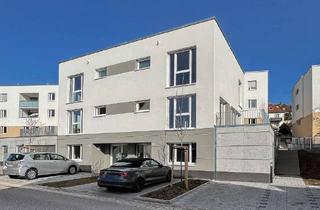 Wohnung mieten in 73207 Plochingen, Neubau-Doppelhaushälfte im Herzen von Plochingen