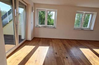 Wohnung mieten in 86609 Donauwörth, Gemütliche, neuwertige 2 ZKB Dachgeschoss mit Loggia