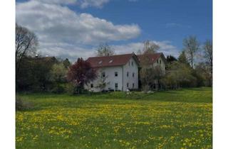 Haus kaufen in 86946 Vilgertshofen, Traumhaus zwischen Lech und Ammersee mit Einliegerwohnung