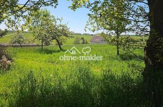 Grundstück zu kaufen in Hauptstraße 26, 57612 Busenhausen, Eckgrundstück mit unverbauten Weitblick Nähe Altenkirchen im Westerwald
