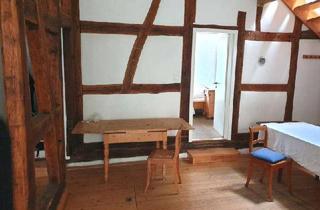 Haus kaufen in 67271 Neuleiningen, Traumhaus mit der Möglichkeit zur Ferienvermietung