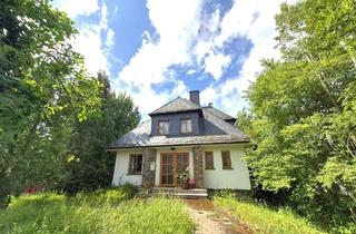 Haus kaufen in 56862 Pünderich, Solides Wohnhaus mit Apartment, Weinberg und Nebengebäuden in hochwasserfreier Lage!