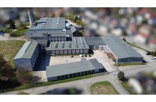 Gewerbeimmobilie kaufen in 02727 Neugersdorf, Gewerbeareal in Ebersbach-Neugersdorf