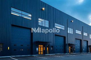 Gewerbeimmobilie mieten in 63457 Hanau, Lagerhalle mit Verkaufsfläche | ca. 500 m² Halle | Ebenerdige Tore