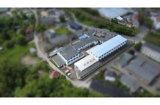 Gewerbeimmobilie kaufen in 06618 Naumburg, ++ Gewerbeareal mit Produktionshallen, Büroflächen und Entwicklungspotenzial in Naumburg ++