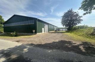 Gewerbeimmobilie mieten in 23623 Ahrensbök, 150 m² Lagerfläche in einer Halle zur Miete