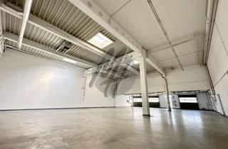 Büro zu mieten in 65835 Liederbach, PROVISIONSFREI ✓ RAMPE ✓ Lager (2.500 m²) & Büro (500 m²) zu vermieten