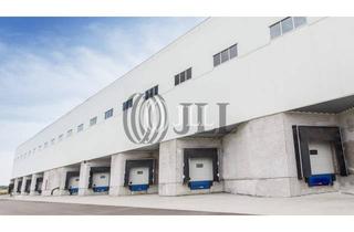 Gewerbeimmobilie mieten in 65451 Kelsterbach, *JLL* 20 k Hallenfläche im Umkreis des Flughafens