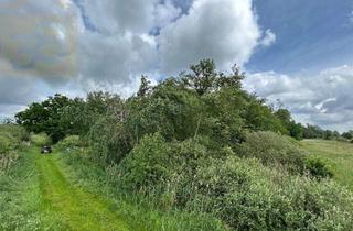 Anlageobjekt in 38471 Rühen, Provisionsfreies Waldgrundstück mit 28000m² bei Rühen! Mein Grundstück - Mein Partner!