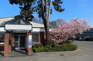 Büro zu mieten in Holstenhofweg 41, 22043 Marienthal, Moderne Bürofläche mit Parkplätzen in Hamburg-Wandsbek zu vermieten