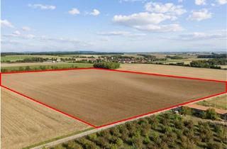 Gewerbeimmobilie kaufen in 97199 Ochsenfurt, Ackerland mit Klarheit – 6,5 ha arrondierte Fläche bei Ochsenfurt-Erlach