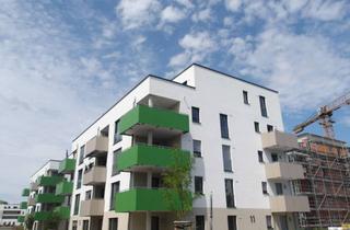 Wohnung mieten in 34246 Vellmar, Erstbezug - 2 ZKB in guter Lage von Kassel-Vellmar