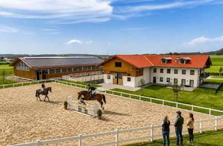 Haus kaufen in 87634 Günzach, Für Pferdemenschen: Neue Luxus-Reitanlage im Allgäu