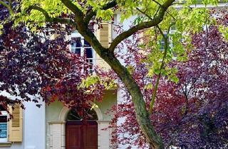 Immobilie mieten in Konrad-Adenauer-Platz 12, 67227 Frankenthal, Exclusive Designer-Altbauwohnung im Frankenthaler Villenviertel - kernsaniert & voll möbliert