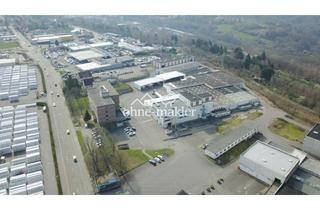 Büro zu mieten in 66954 Pirmasens, Handwerker und Gewerbepark Pirmasens verschiedene Hallenflächen zu vermieten Prod./Werkstatt/Lager