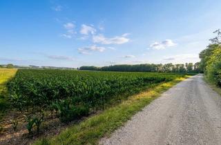 Immobilie kaufen in 84187 Weng, Land ist begrenzt: 23.090 m² Ackerland in der Gemarkung Weng