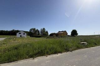Grundstück zu kaufen in 01833 Dürrröhrsdorf-Dittersbach, Baugrundstück für ein Einfamilienhaus in Dürröhrsdorf-Dittersbach, OT Wilschdorf