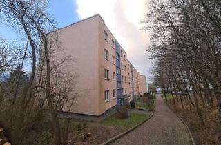 Wohnung kaufen in 59755 Arnsberg, Arnsberg - Vermietete Eigentumswohnung in Arnsberg-Moosfelde