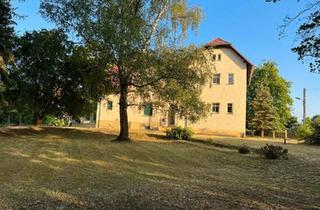 Mehrfamilienhaus kaufen in 15926 Luckau, Luckau - Mehrfamilienhaus, saniert, großes Grundstück 1382 qm